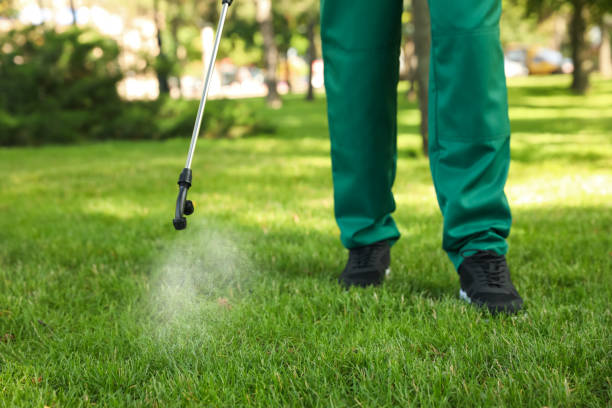 Best Rat Extermination Near Me  in Susanville, CA