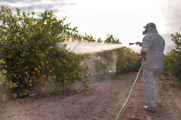 Spider Control Near Me in Susanville, CA