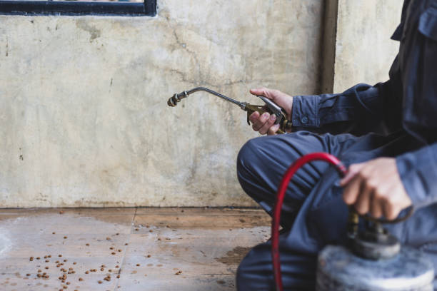 Trusted Susanville, CA Pest Control Experts